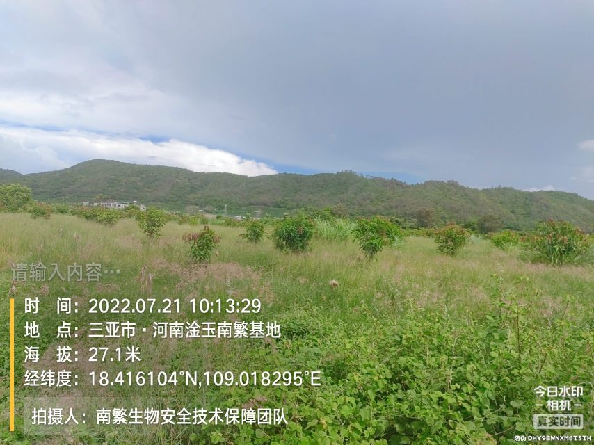 请输入内容…