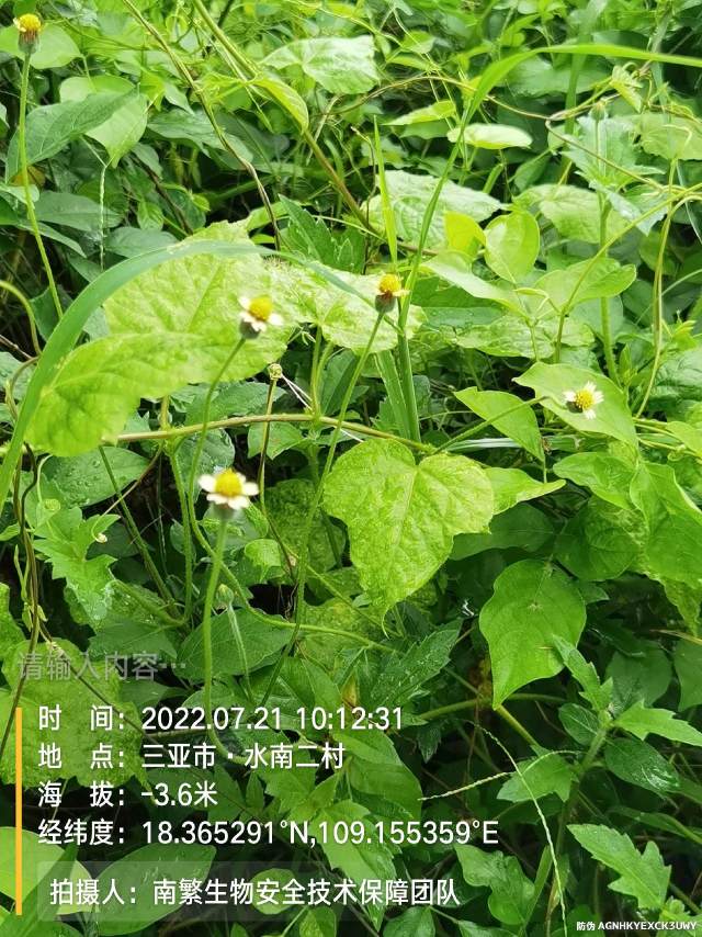 请输入内容…