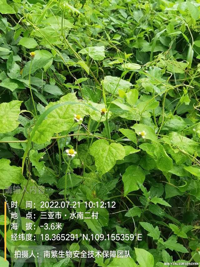 请输入内容…
