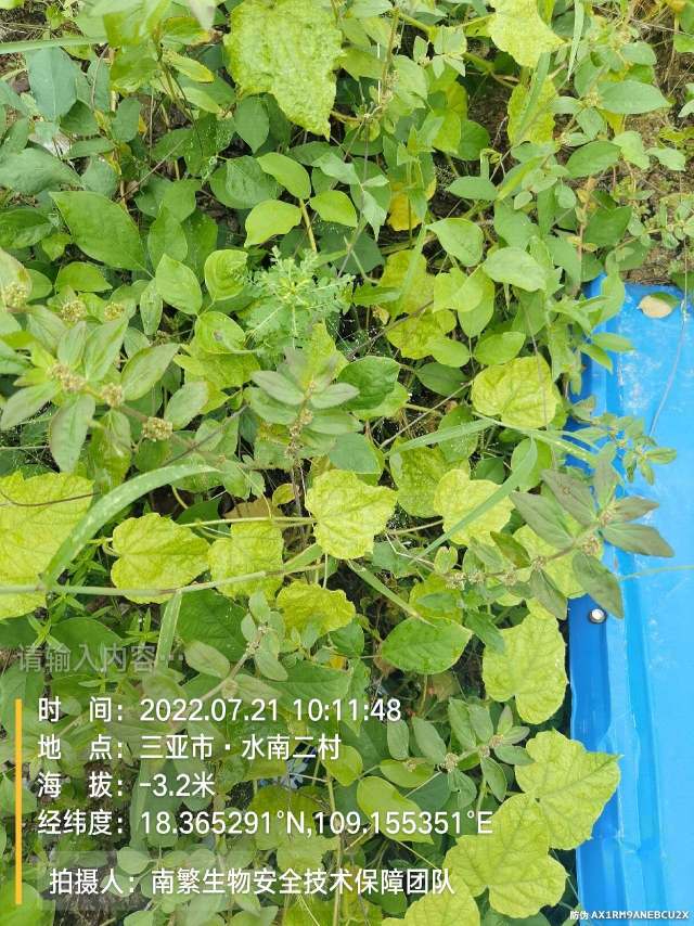 请输入内容…