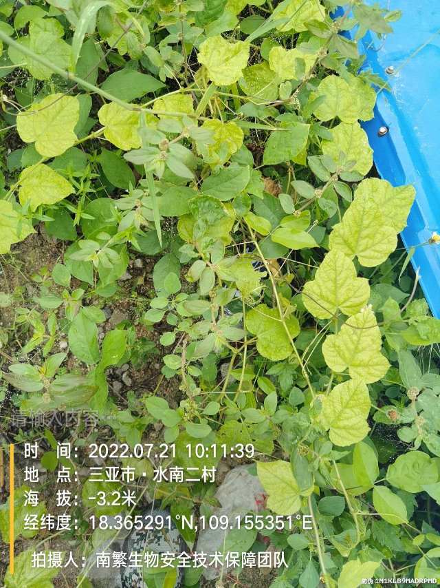 请输入内容…