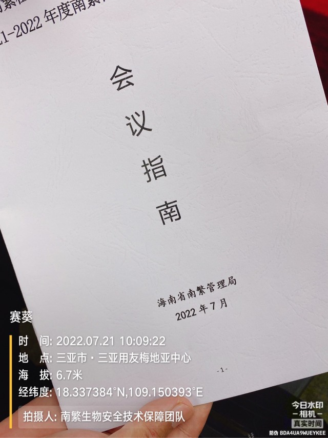 赛葵
