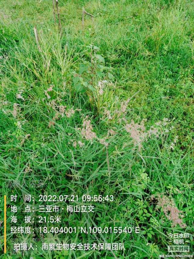 请输入内容…