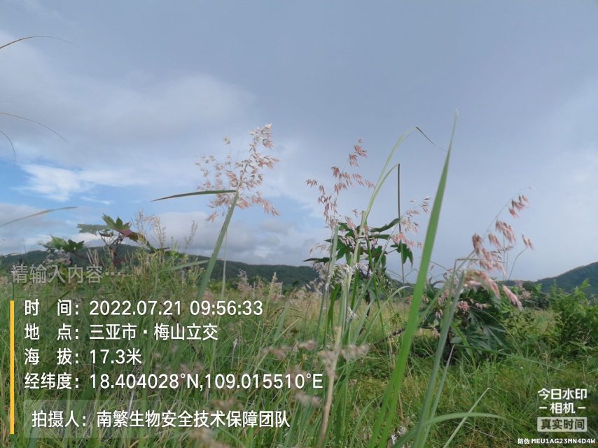 请输入内容…