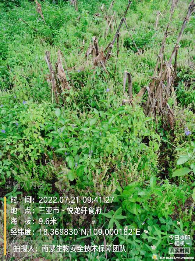 请输入内容…