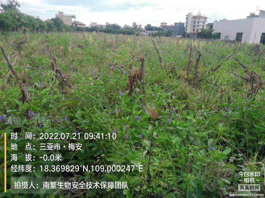 请输入内容…