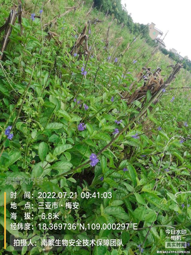 请输入内容…