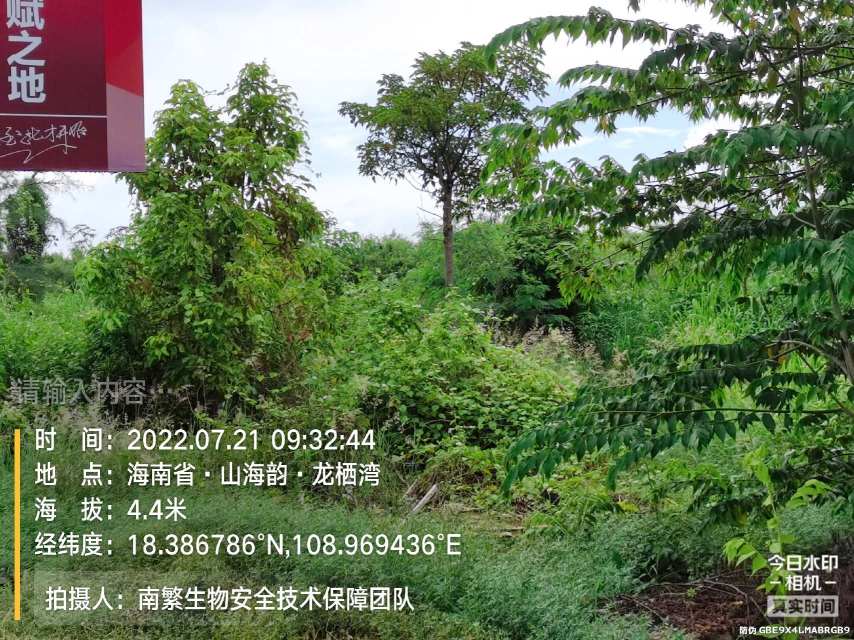 请输入内容…