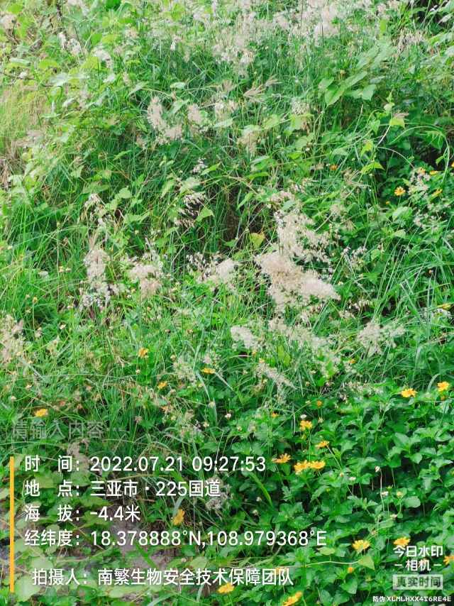 请输入内容…