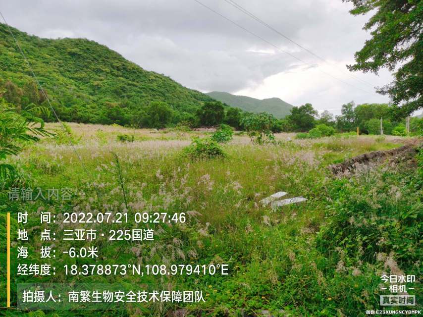 请输入内容…