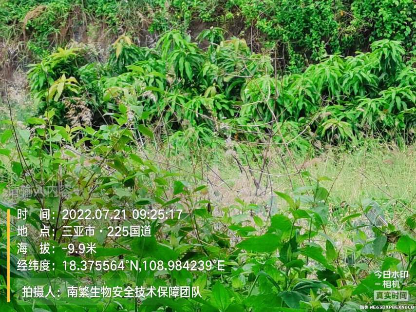 请输入内容…