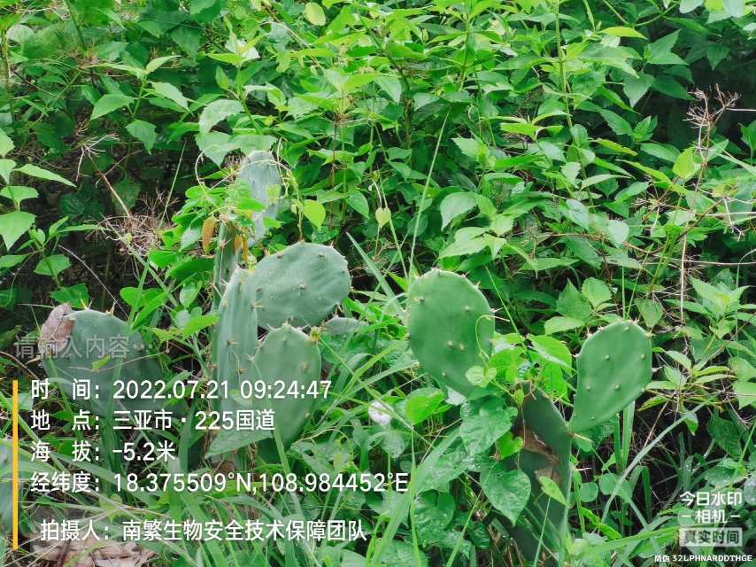 请输入内容…