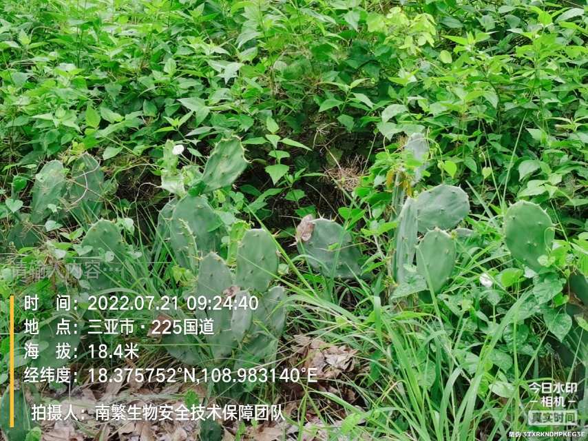 请输入内容…