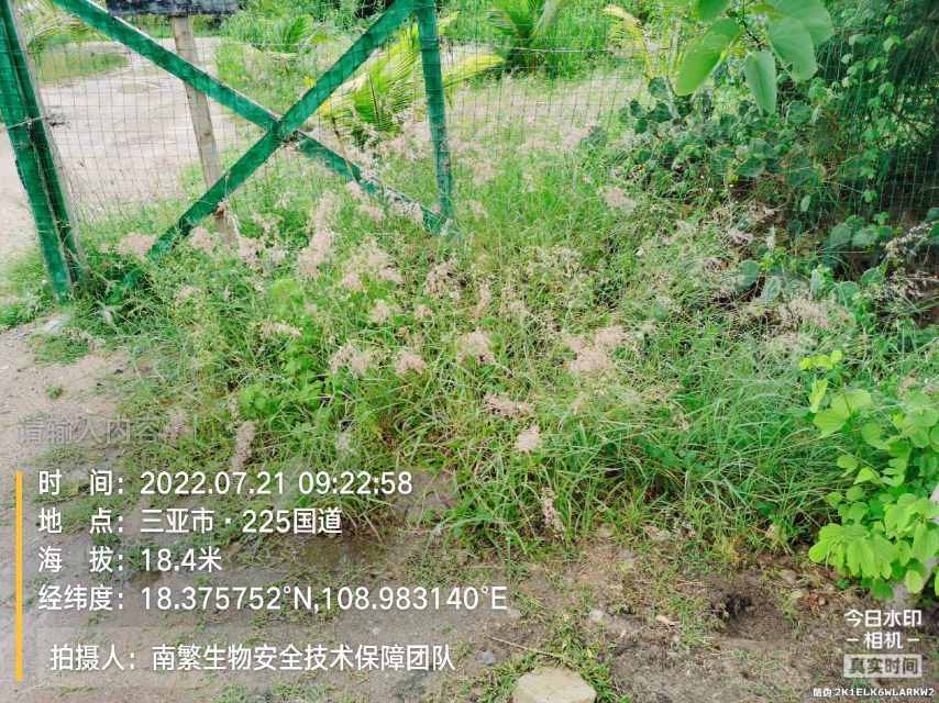 请输入内容…
