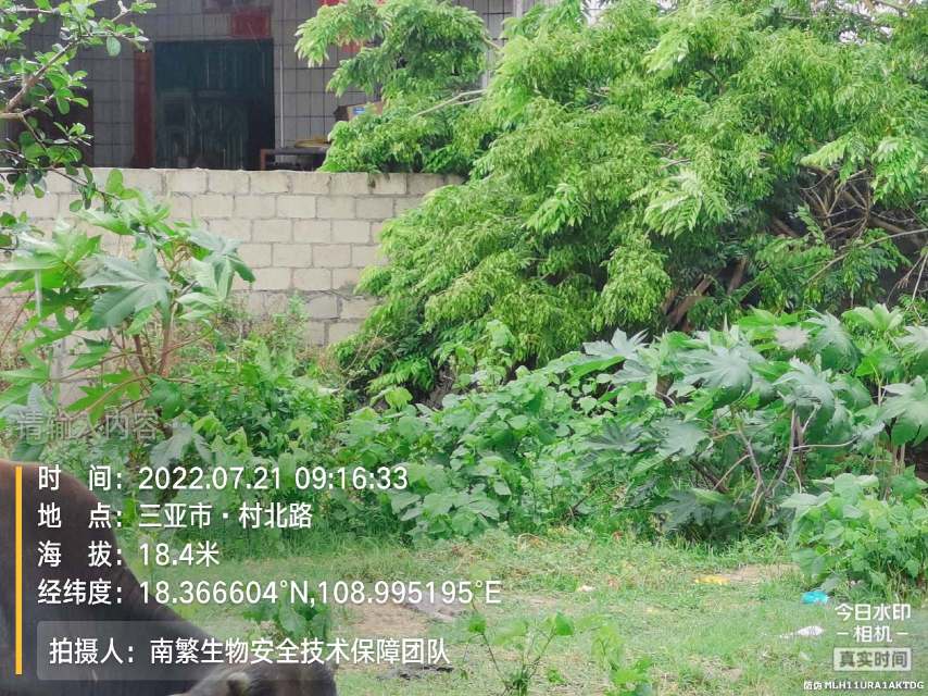 请输入内容…