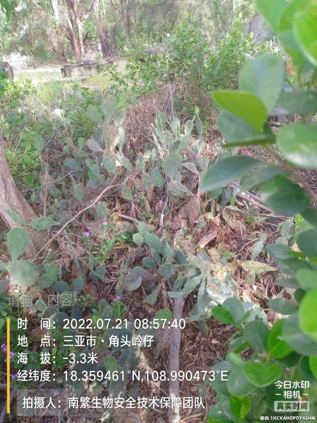 请输入内容…
