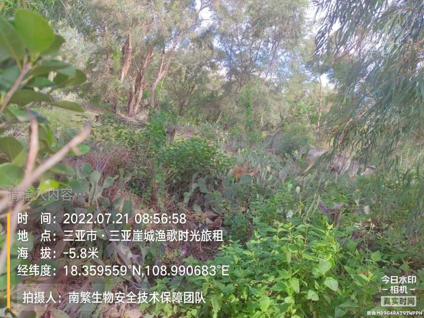 请输入内容…