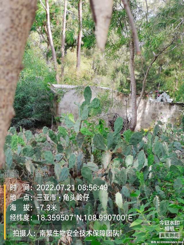 请输入内容…