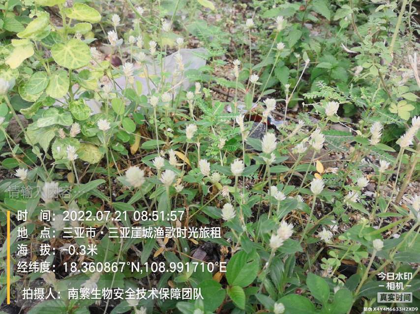 请输入内容…
