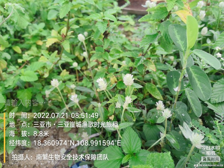 请输入内容…