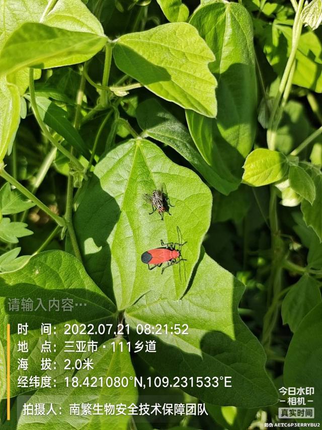 请输入内容…