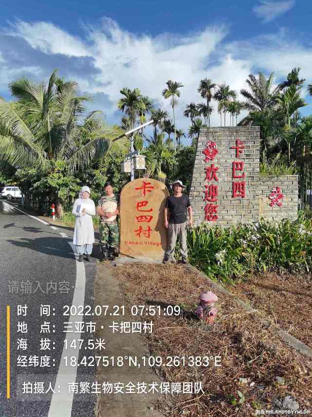 请输入内容…