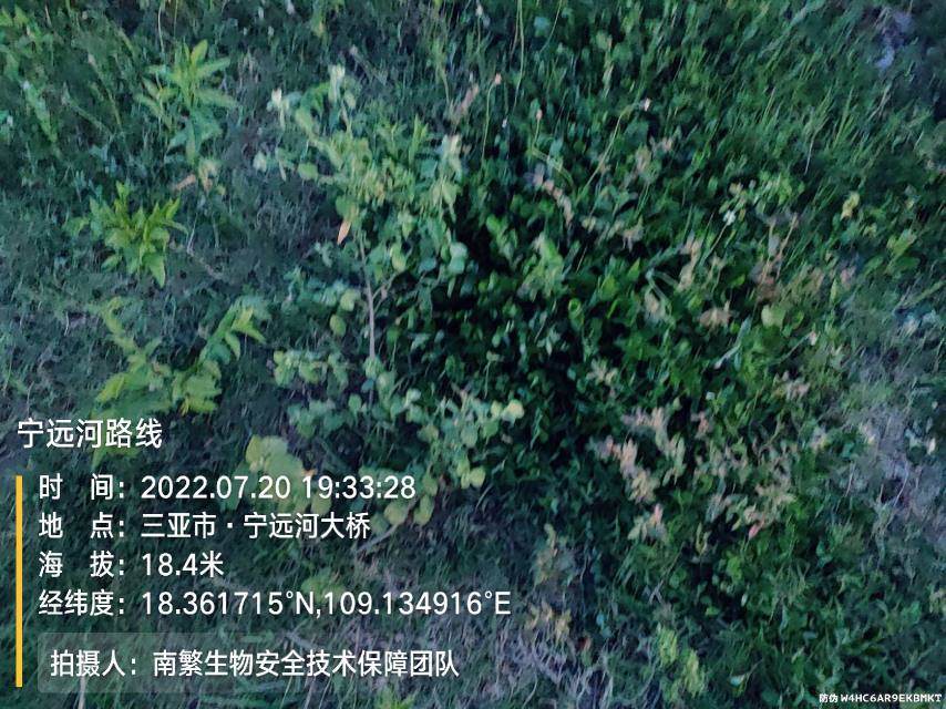 宁远河路线
