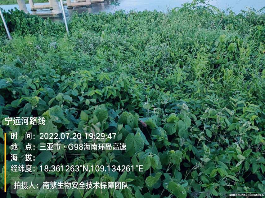 宁远河路线