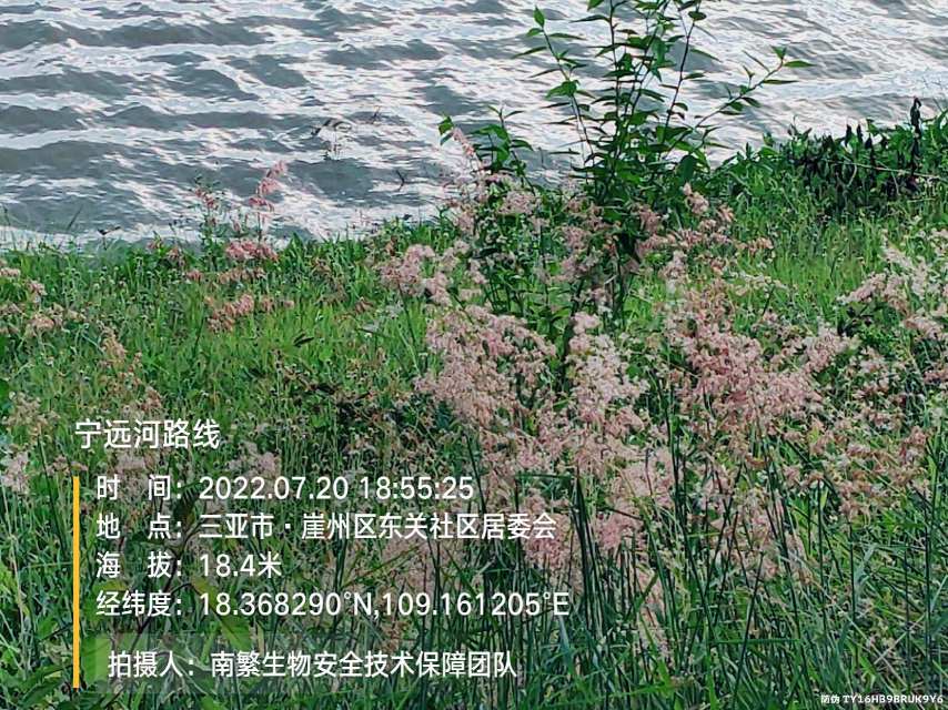 宁远河路线