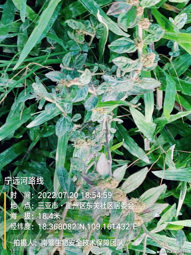 宁远河路线