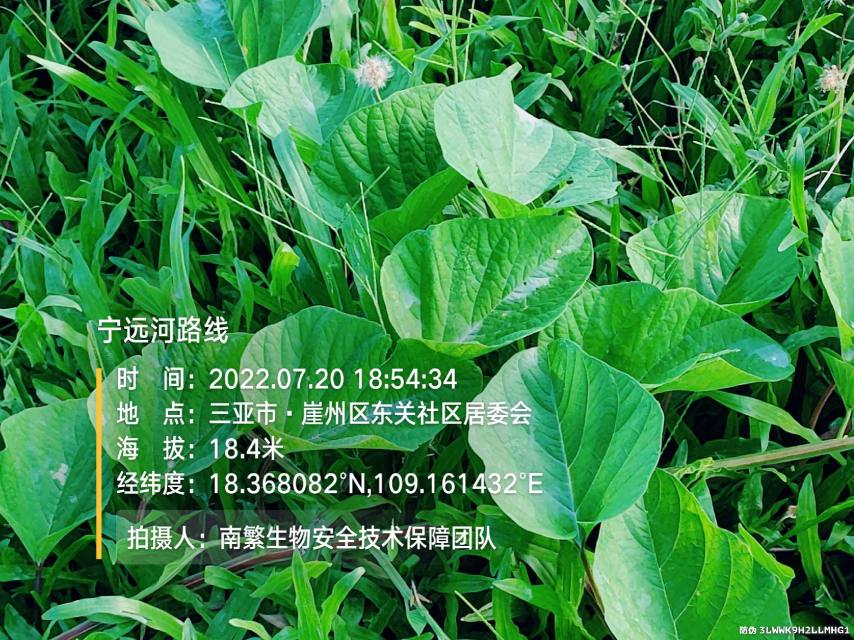 宁远河路线