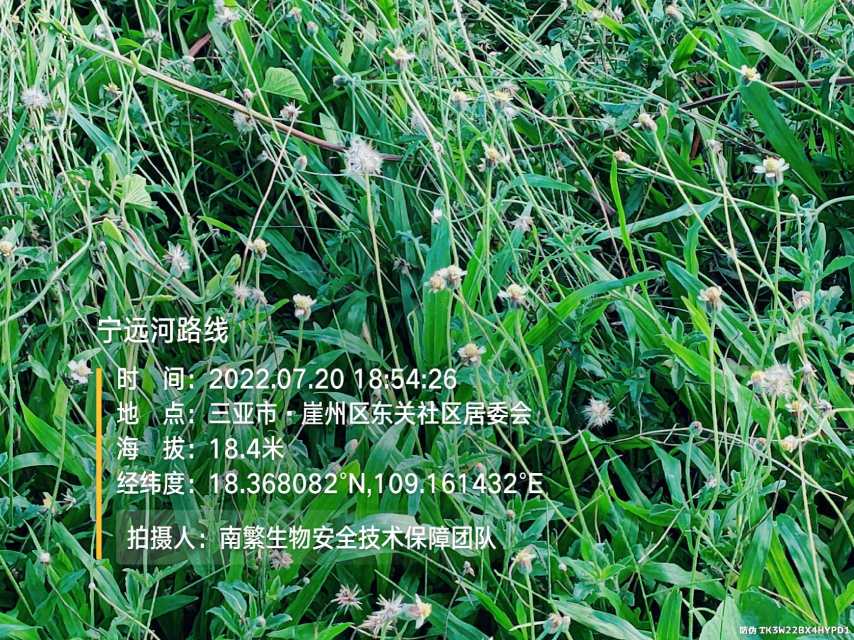 宁远河路线