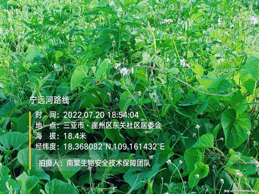 宁远河路线