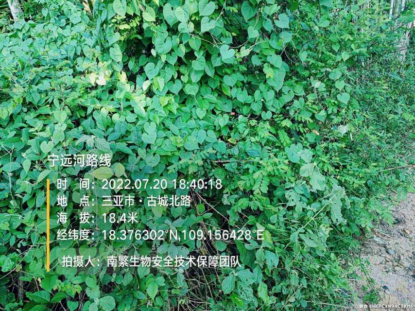 宁远河路线