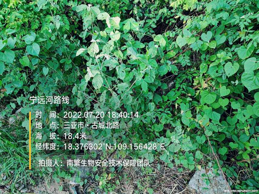 宁远河路线