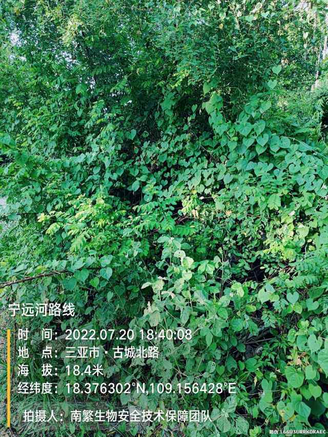 宁远河路线