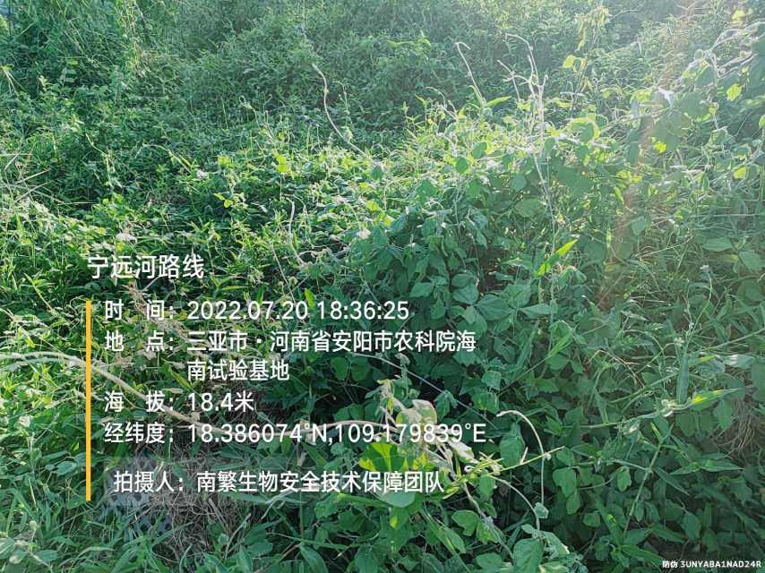 宁远河路线