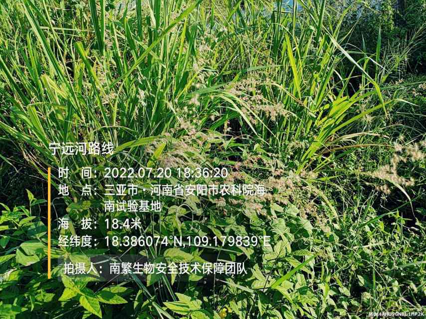 宁远河路线