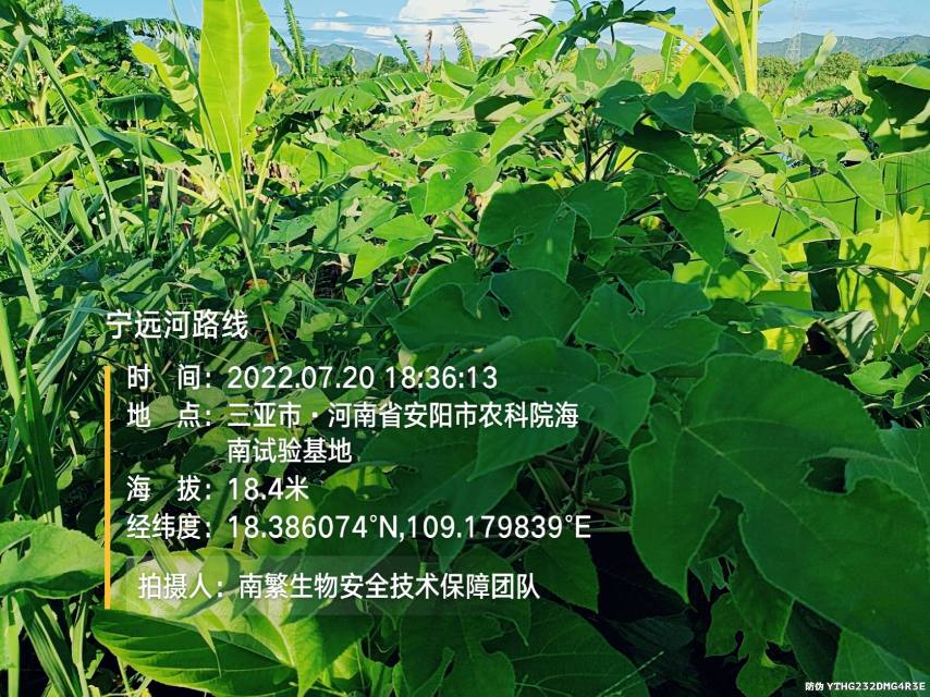 宁远河路线