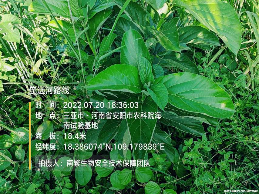 宁远河路线