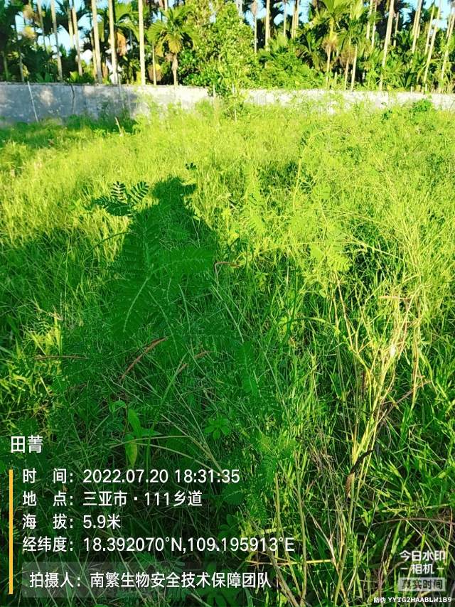 田菁