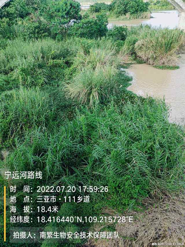 宁远河路线