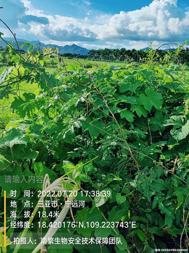 请输入内容…