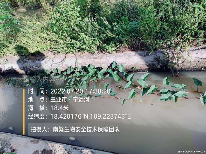 请输入内容…