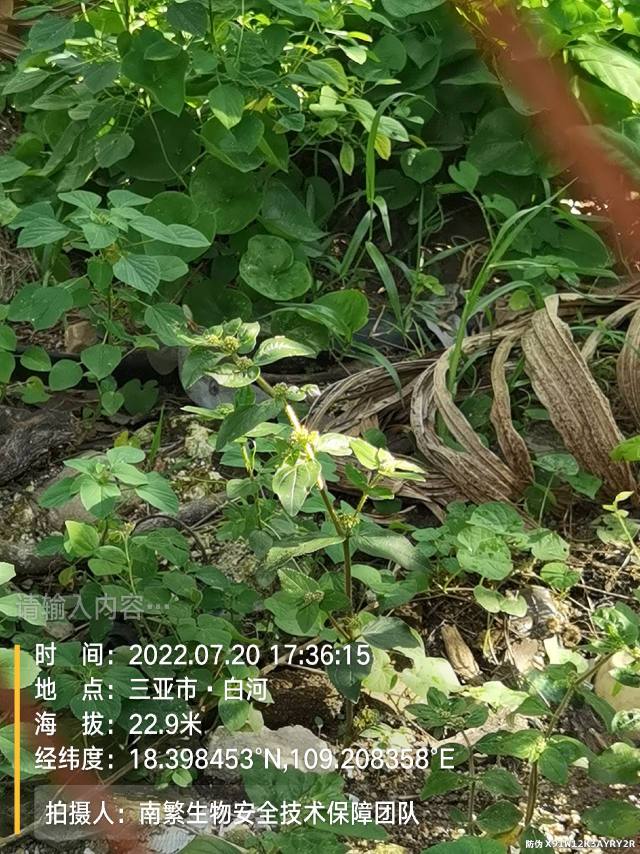 请输入内容…