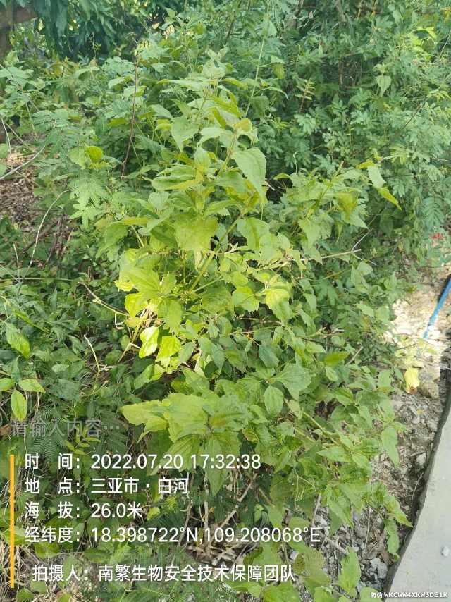 请输入内容…