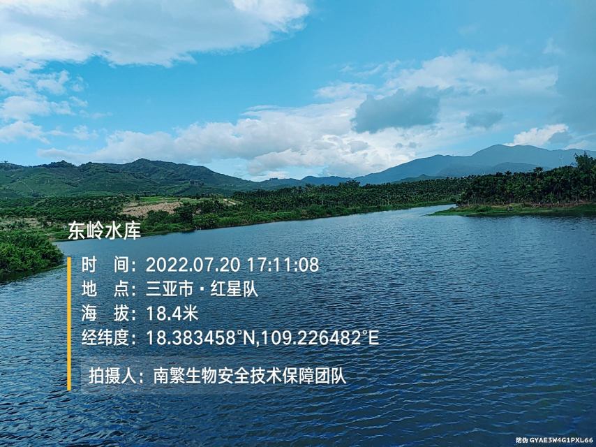 东岭水库