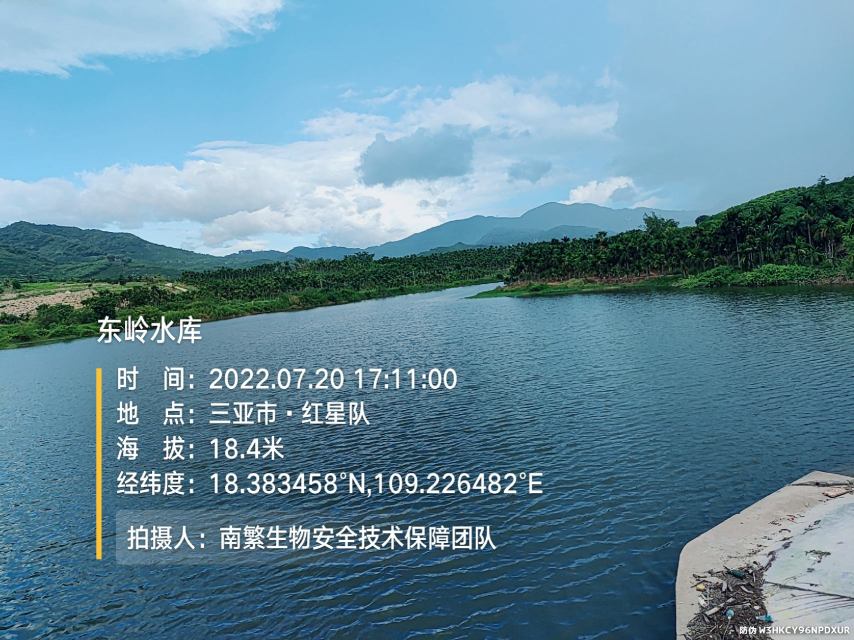 东岭水库