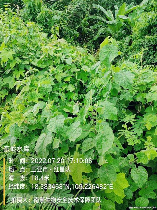 东岭水库