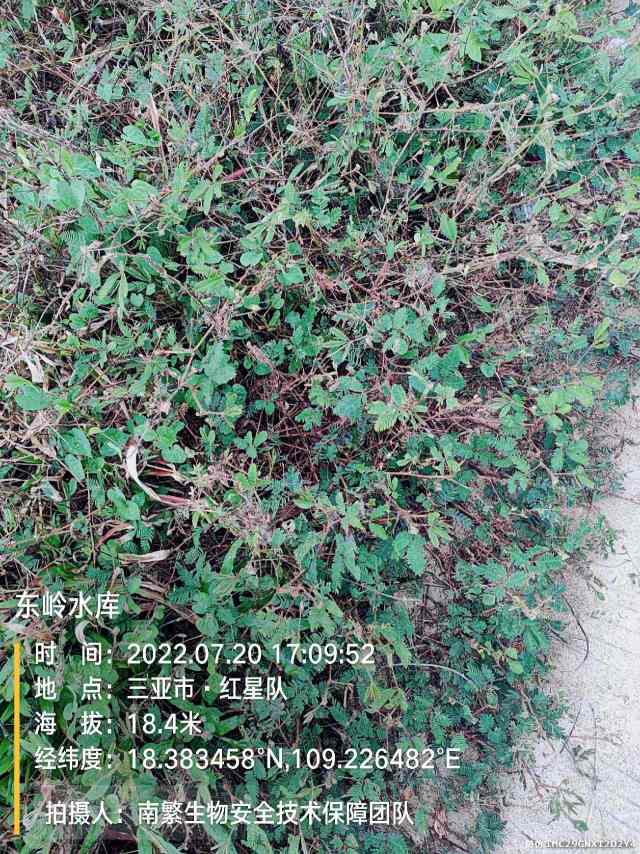 东岭水库